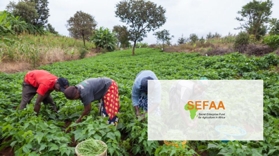SEFAA